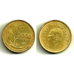 (1029.1) Turquia. 1995. 5000 Lira (MBC-)