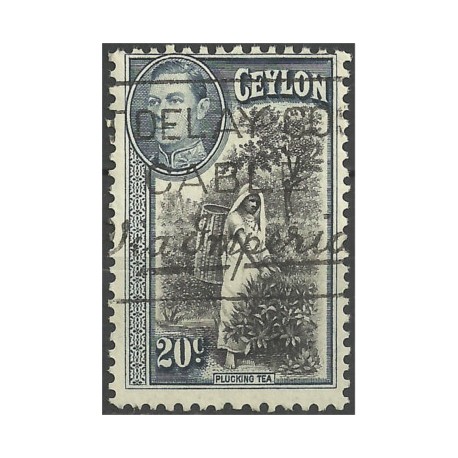 Ceylon Británica. 1938. 20 Cents. Plucking Tea