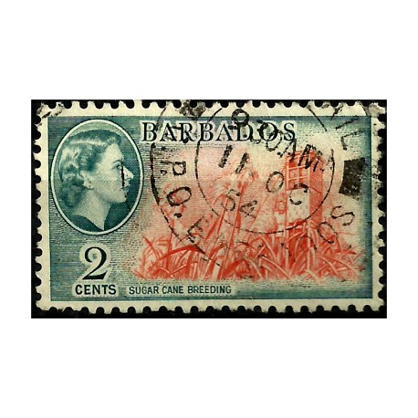 Barbados. 1954. 2 Cents. Suga Cane Breeding