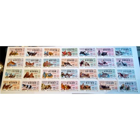 Loteria del Jueves. 1995. Año Completo (51 Décimos)